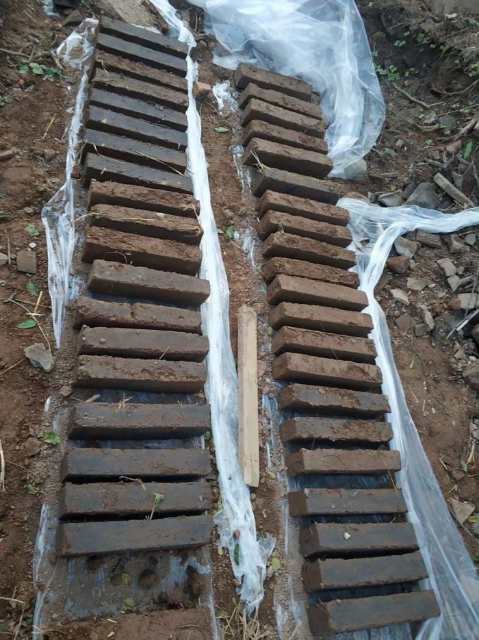 BIM建筑|太岳院子——造币局民宿 / 三文建筑