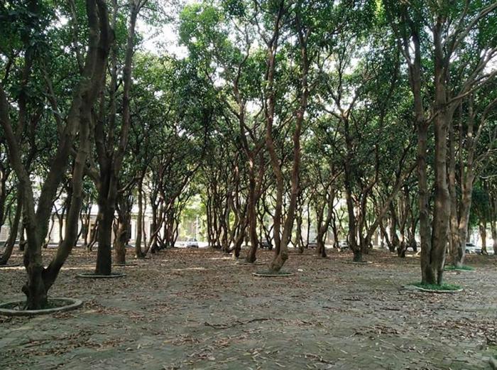 BIM建筑|华润西园悦府生活馆 / 立方设计