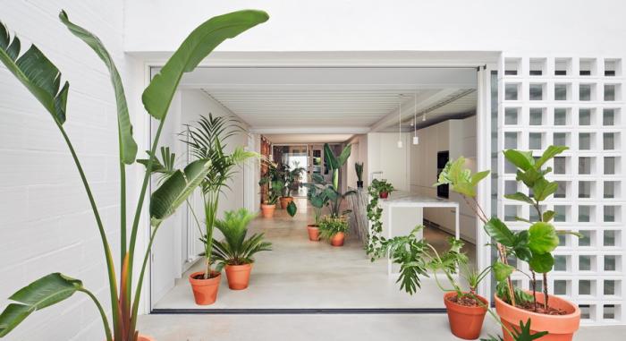 BIM建筑|巴塞罗那住宅改造，纵向贯通 / estudi08014