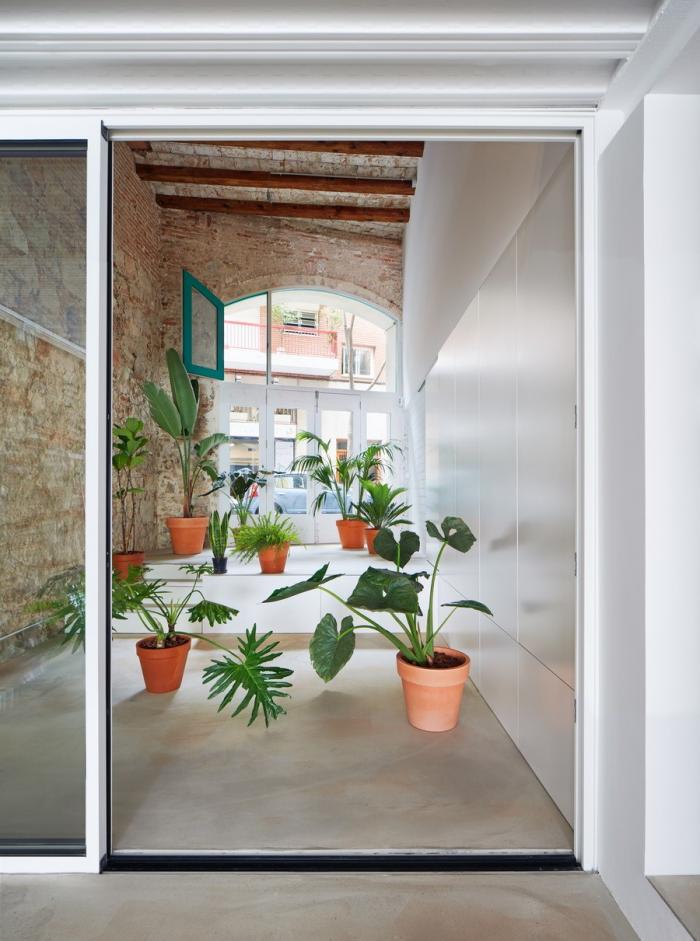 BIM建筑|巴塞罗那住宅改造，纵向贯通 / estudi08014