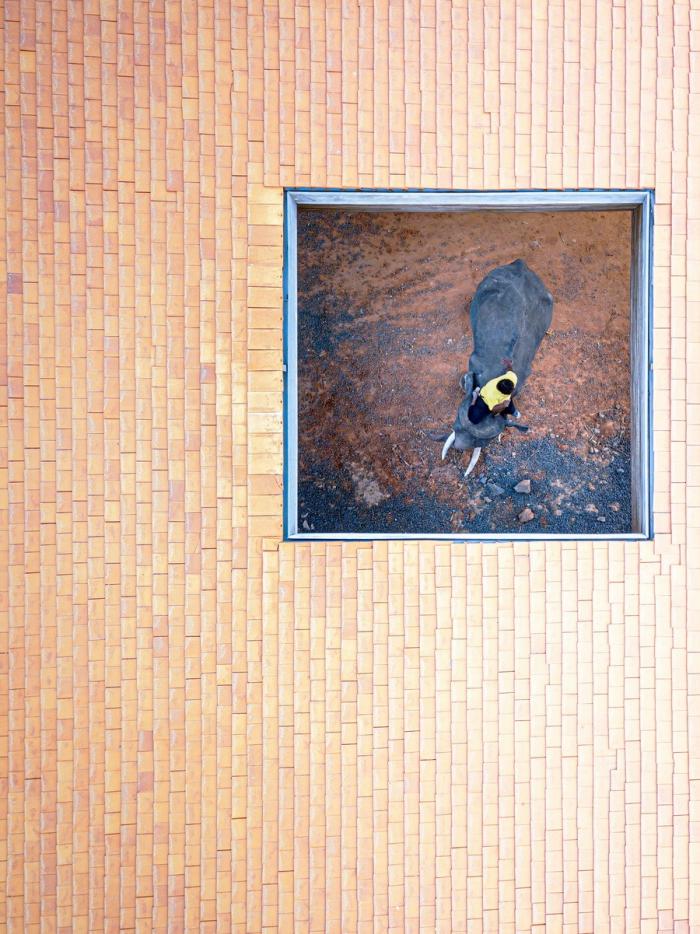 BIM建筑|“大象世界”艺术文化庭院 / Bangkok Project Studio