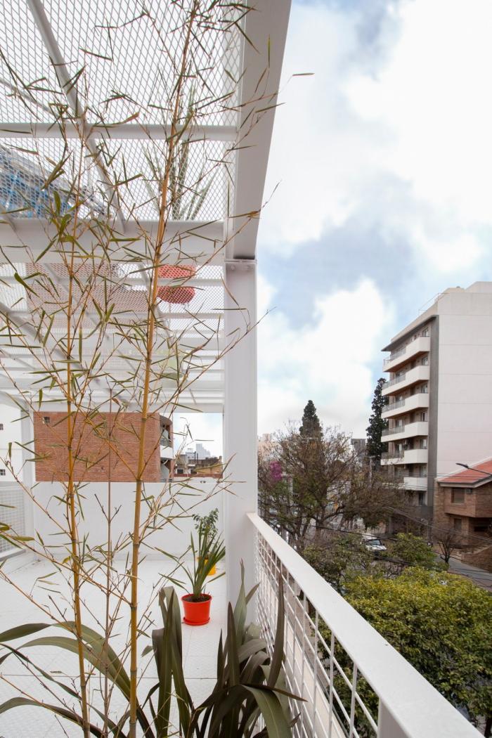 BIM建筑|卡塔马卡公寓，以诗与艺术点缀空白 / Carlos Alejandro Ciravegna