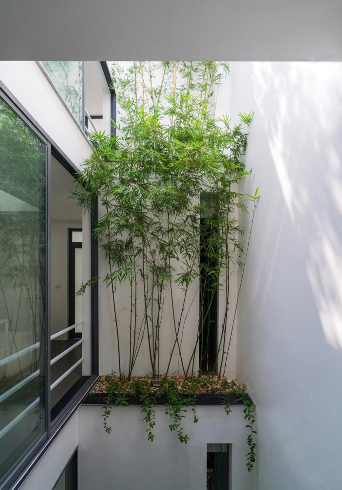 BIM建筑|越南“林中住宅” / Nguyen Khac Phuoc Architects