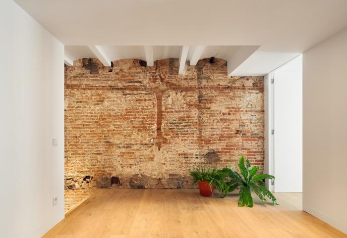 BIM建筑|巴塞罗那住宅改造，纵向贯通 / estudi08014