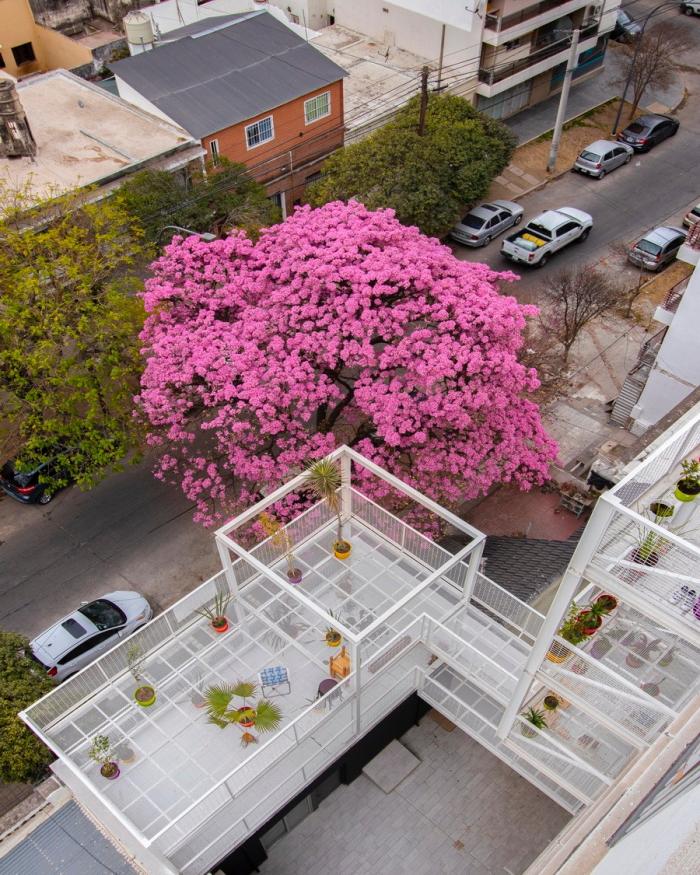 BIM建筑|卡塔马卡公寓，以诗与艺术点缀空白 / Carlos Alejandro Ciravegna