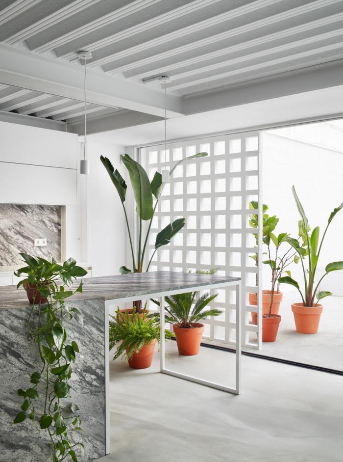 BIM建筑|巴塞罗那住宅改造，纵向贯通 / estudi08014