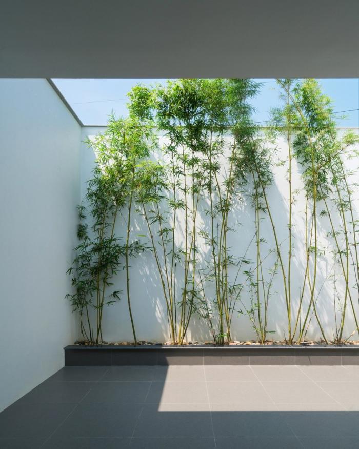 BIM建筑|越南“林中住宅” / Nguyen Khac Phuoc Architects