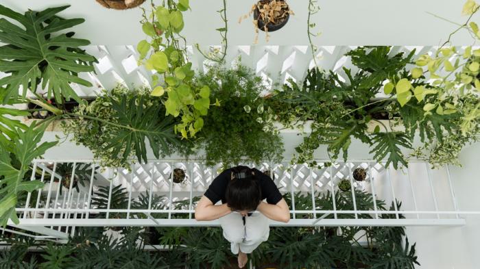 BIM建筑|与自然共居，越南百叶窗住宅 / Limdim House Studio