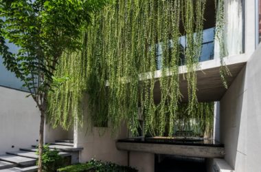 BIM建筑|越南Tan Dinh住宅，简居于“桥上” / MIA Design Studio-BIM建筑网