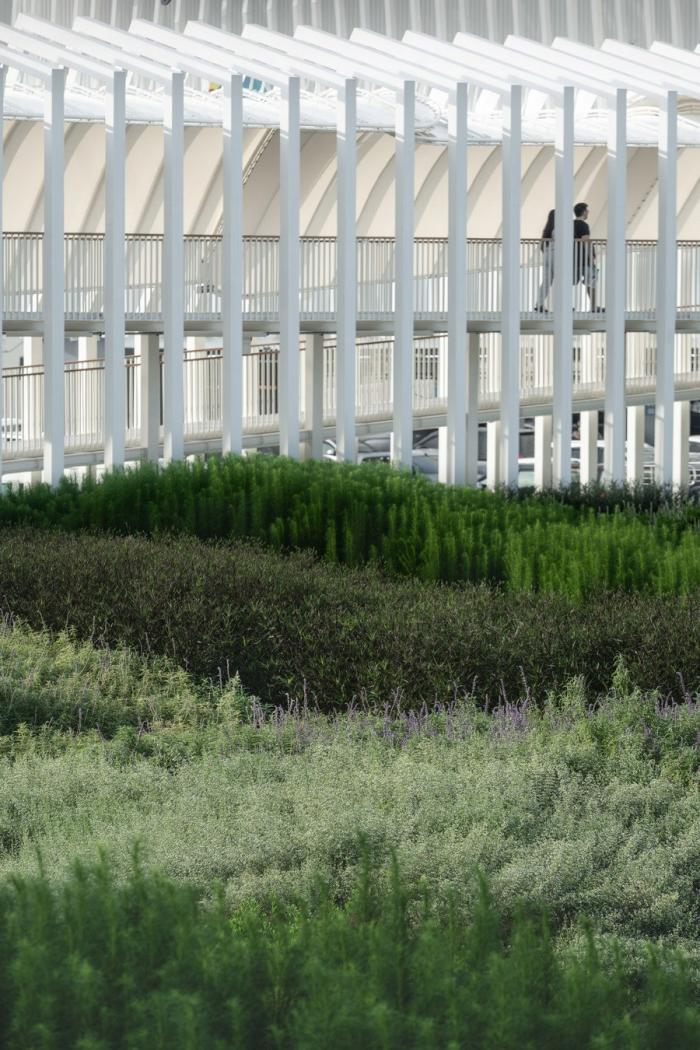 BIM建筑|泰国超级公园 / Architectkidd