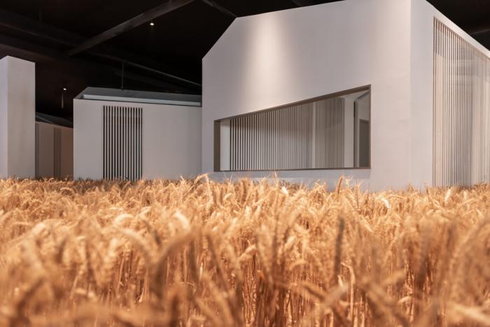 BIM建筑|寰盟东南亚设计中心办公空间 / 长空创作