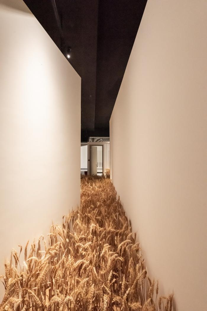 BIM建筑|寰盟东南亚设计中心办公空间 / 长空创作