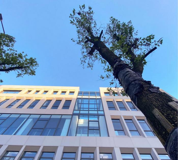 BIM建筑|深圳宝安区航城社区健康服务中心 / 深圳中海世纪建筑设计有限公司