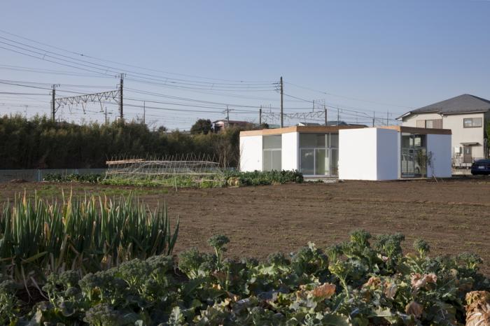 BIM建筑|日本“L”型墙住宅 / 宮晶子建筑工作室