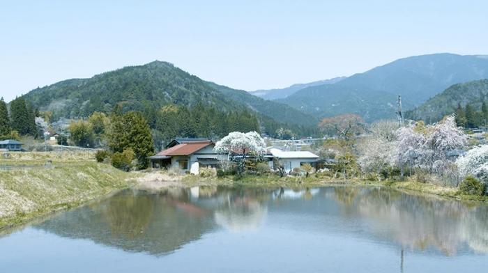 BIM建筑|捕捉日本一座175岁老屋之美