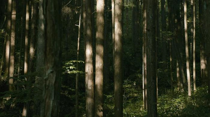 BIM建筑|捕捉日本一座175岁老屋之美