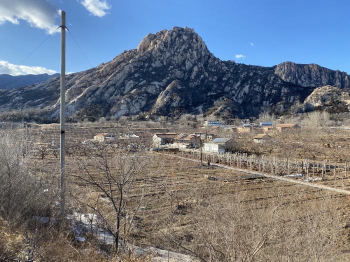 BIM建筑|厂仓围合——京郊厂房民宿改造 / CCDI卝智设计