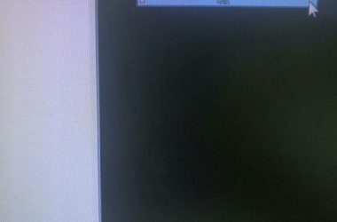 BIM问答|navisworks怎么调节漫游速度-BIM建筑网