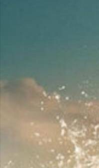 BIM问答|enscape如何加音乐