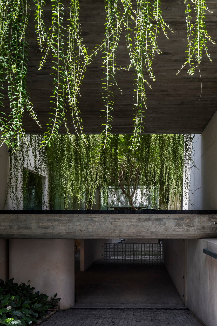 BIM建筑|越南Tan Dinh住宅，简居于“桥上” / MIA Design Studio