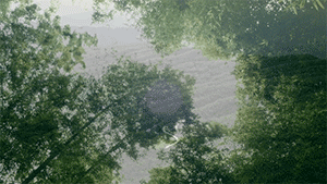 BIM建筑|拾捨·竹里馆 / 云南杨永铨建筑设计事务所