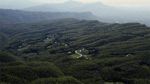 BIM建筑|拾捨·竹里馆 / 云南杨永铨建筑设计事务所