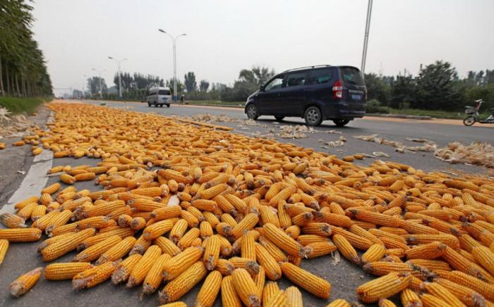 BIM建筑|金城社区五统一公共空间 / 时地建筑工作室