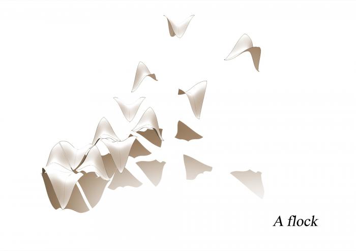 BIM建筑|Bosjes 教堂 / Steyn Studio