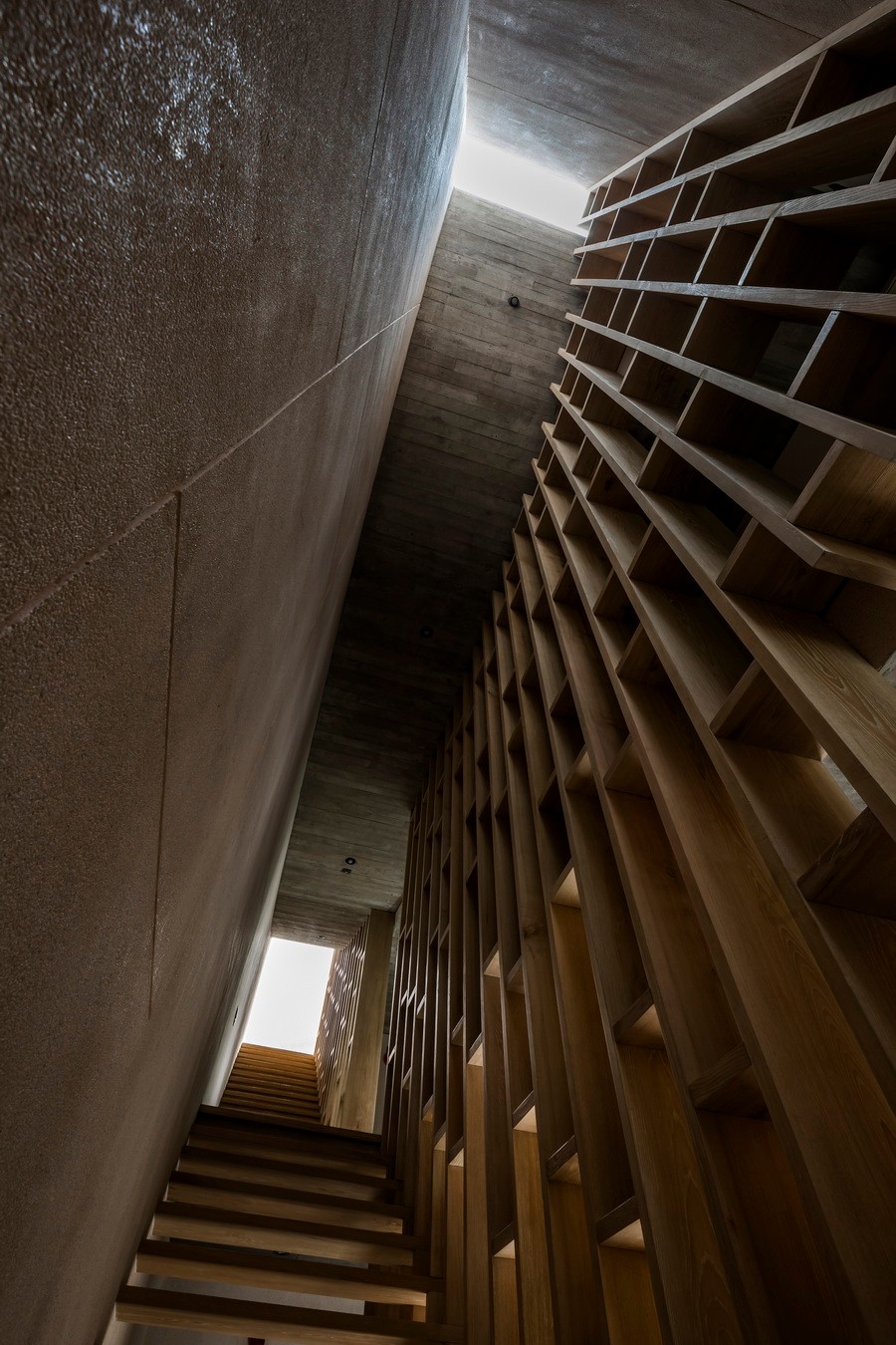 BIM建筑|越南Tan Dinh住宅，简居于“桥上” / MIA Design Studio