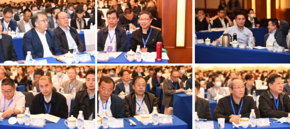 图学会|中国图学学会应用图学专业委员会承办的国家重点研发计划“现代服务业共性关键技术研发及应用示范”重点专项“城市群综合科技服务集成技术研讨与交流会”在成都隆重召开