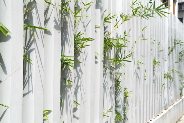 BIM建筑|广西壮族自治区直属机关第二幼儿园，中国 / 广西中盛建筑设计有限公司