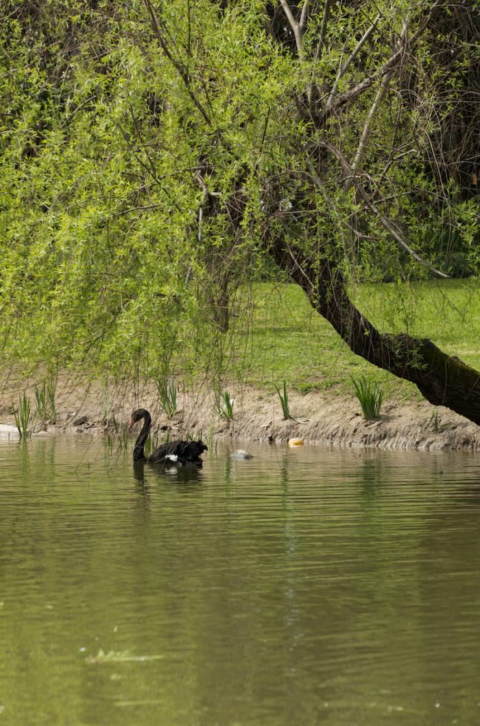 BIM建筑|向往的生活，魔都竟有这样一处诗意田园！