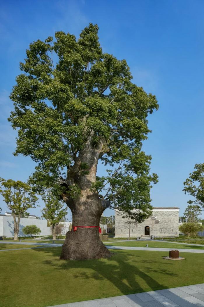 BIM建筑|向往的生活，魔都竟有这样一处诗意田园！