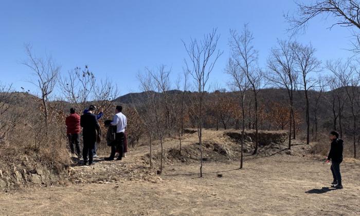 BIM建筑|云海遗贝：泰山九女峰泡池及配套设施 / gad · line+ studio