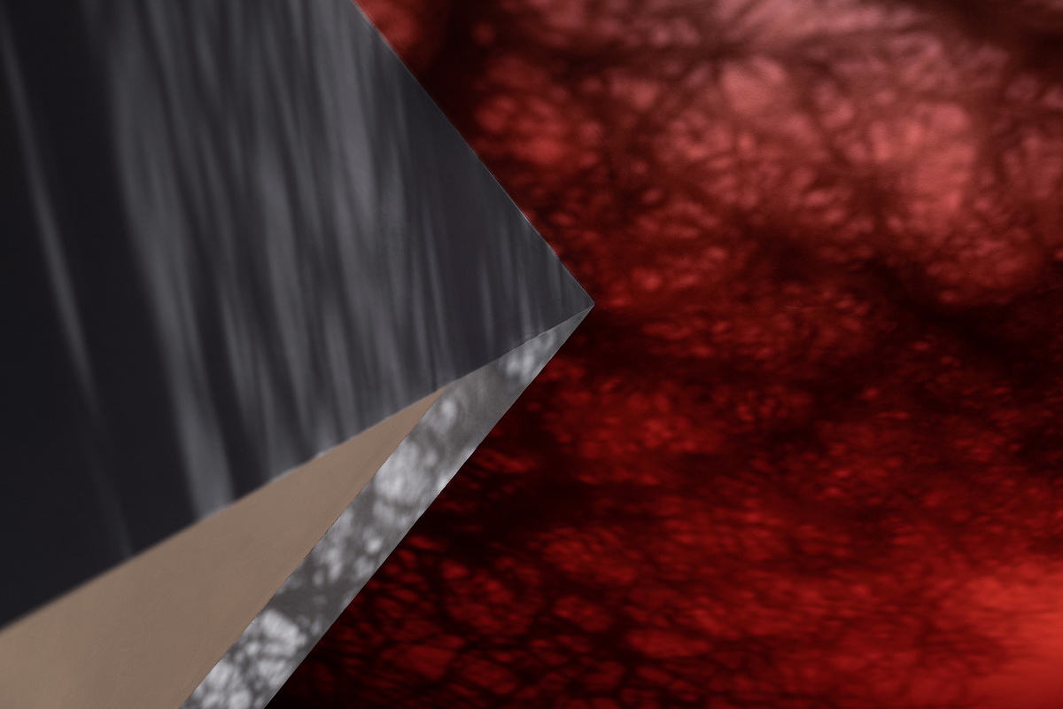 BIM建筑|麦蒙服饰办公前厅，自然奇趣 / 正方良行设计