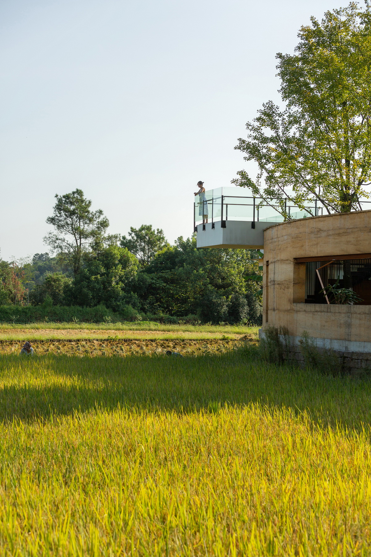BIM建筑|稻田·树下·椒园 / 重庆悦集建筑设计事务所