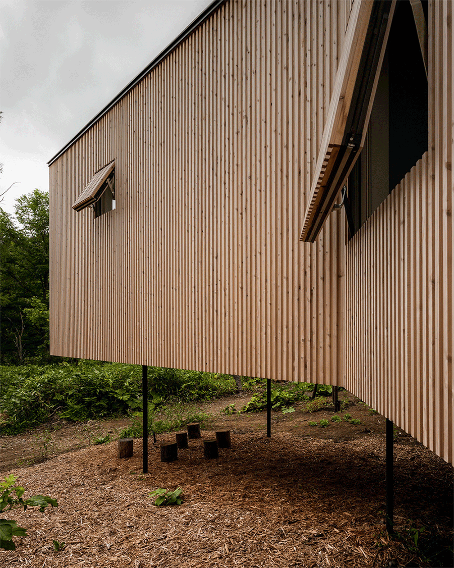 BIM建筑|北海道森林小屋，延伸的“触角” / Florian Busch Architects