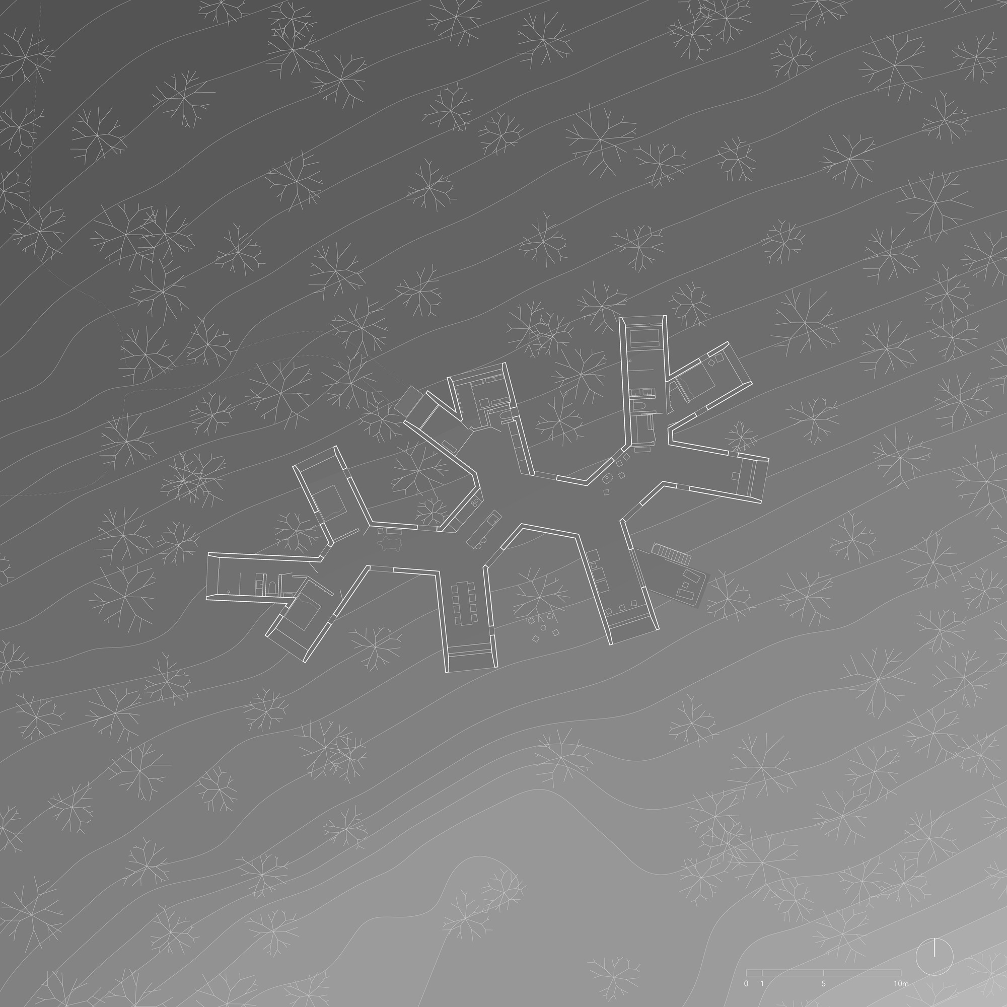 BIM建筑|北海道森林小屋，延伸的“触角” / Florian Busch Architects