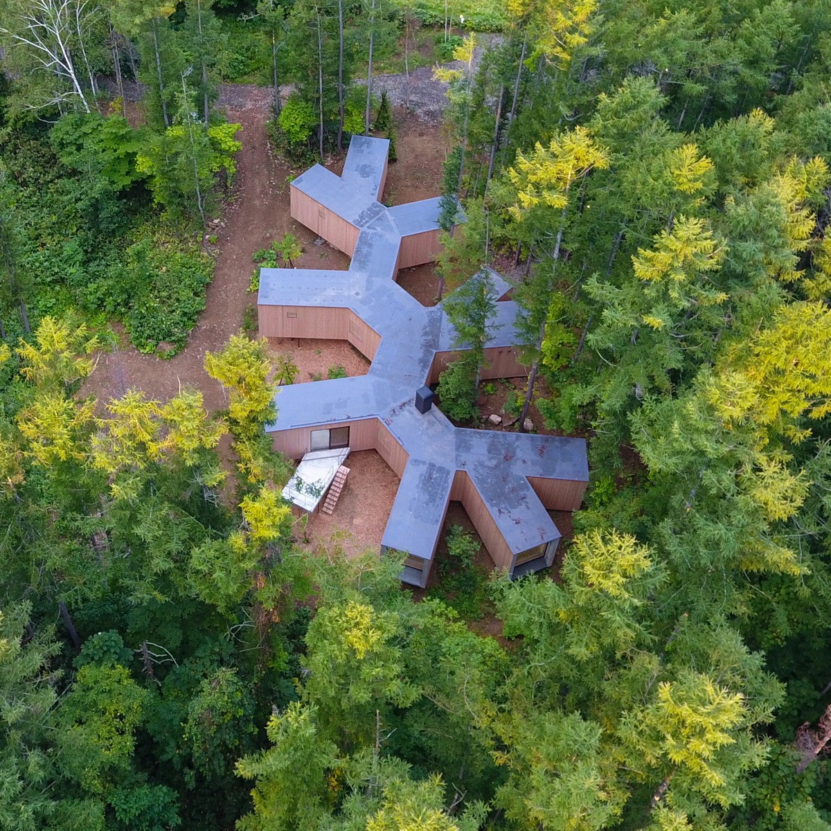 BIM建筑|北海道森林小屋，延伸的“触角” / Florian Busch Architects