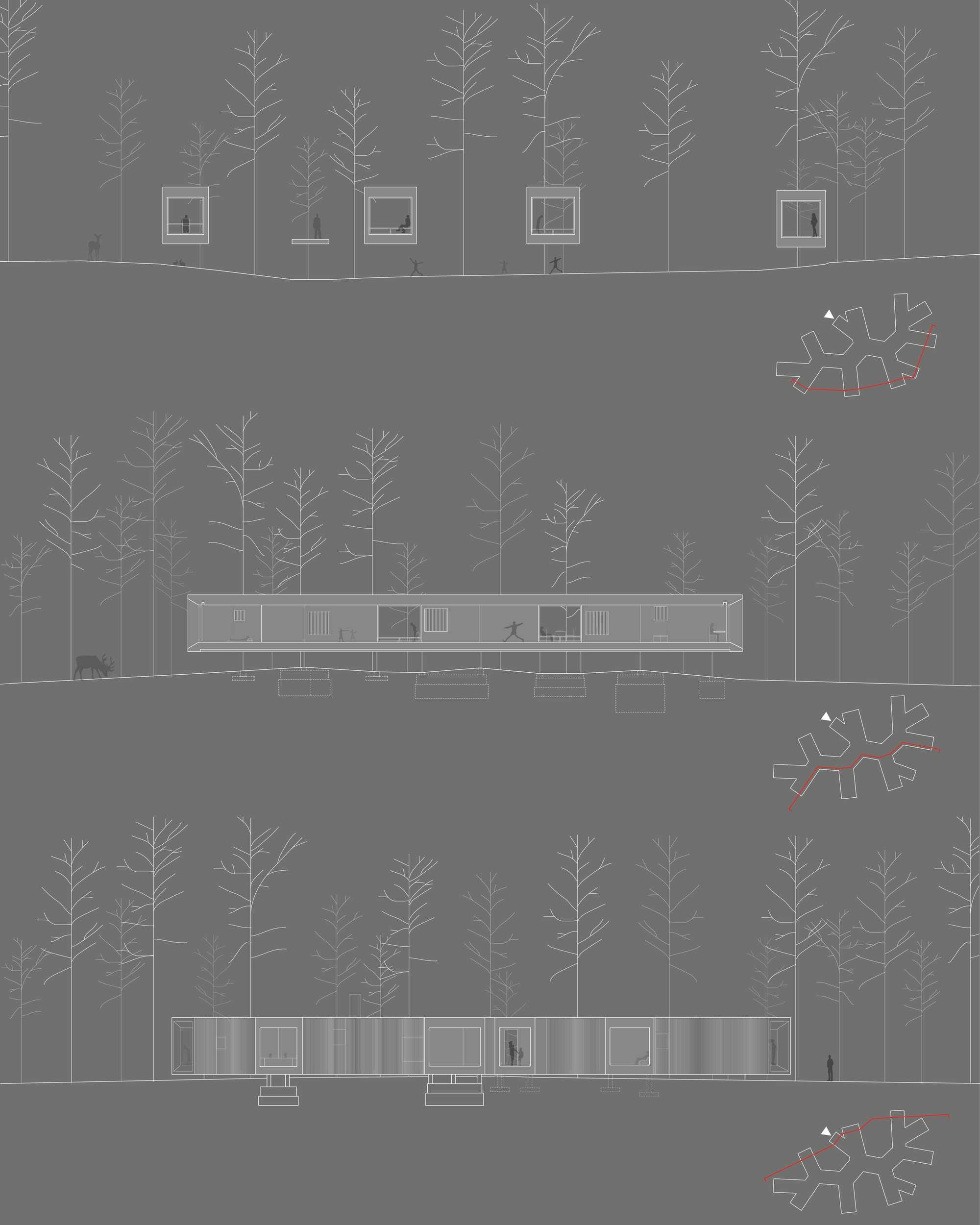 BIM建筑|北海道森林小屋，延伸的“触角” / Florian Busch Architects