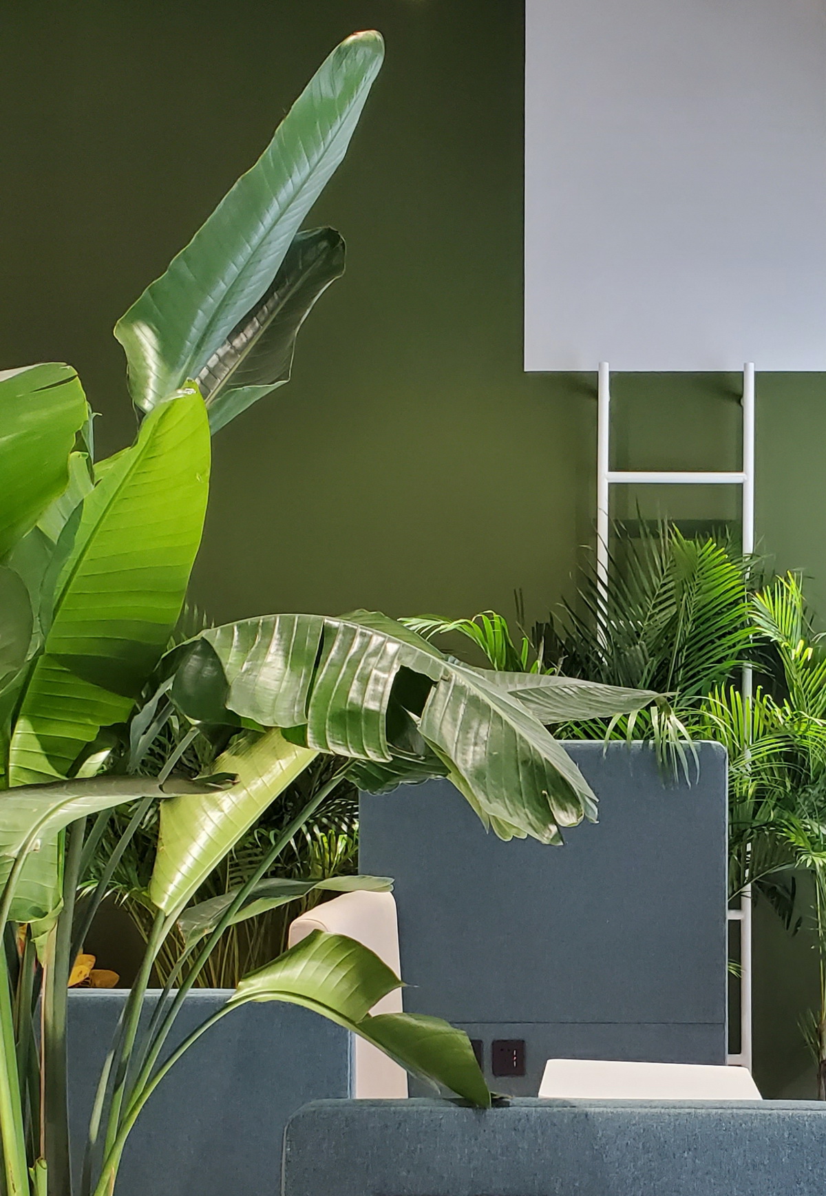 BIM建筑|一呼一吸之间：新陈代谢设计观的全方向实践 / QUCESS清石设计