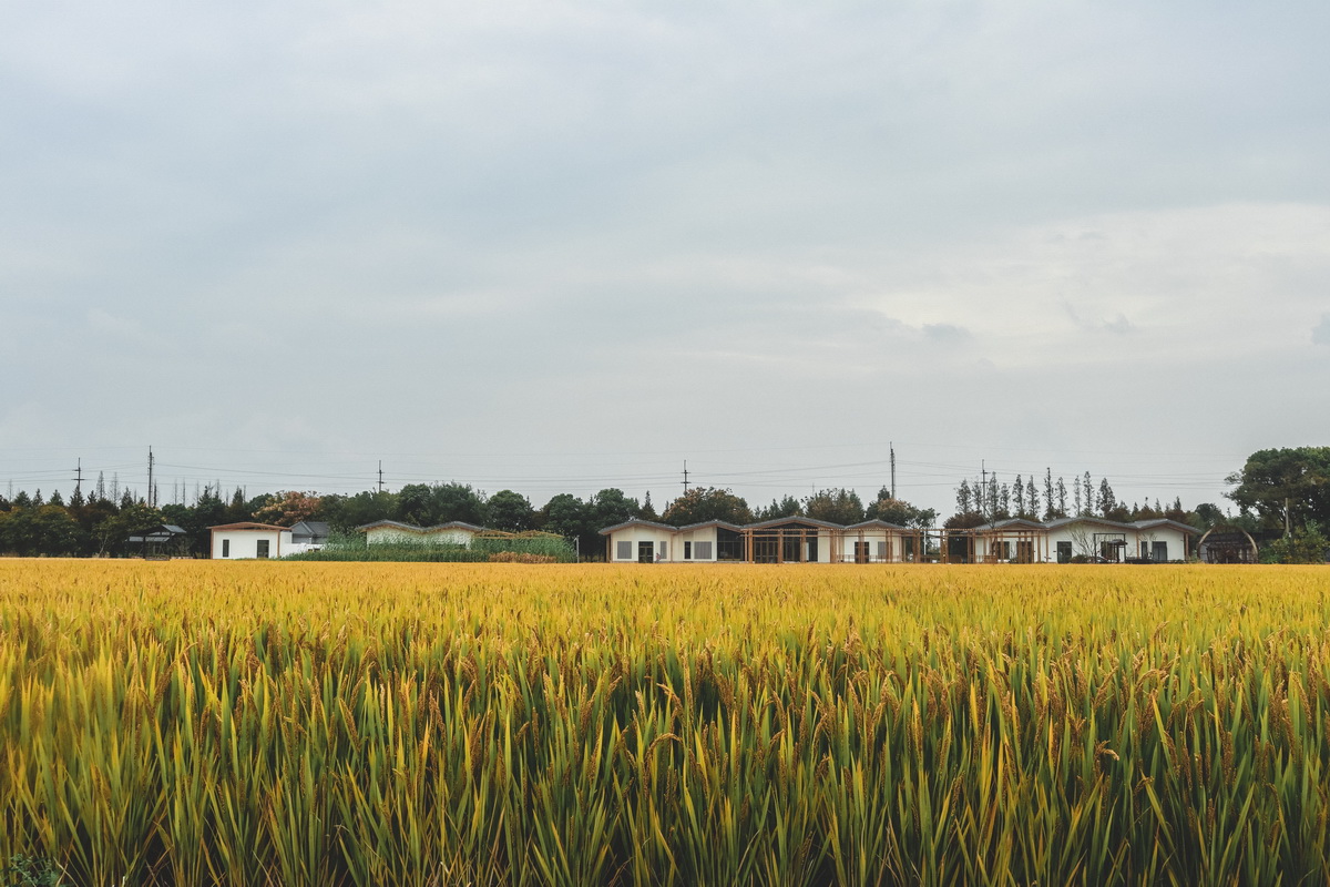 BIM建筑|粮田里的农具仓库改造——花红耕织馆 / 创霖-泽柏