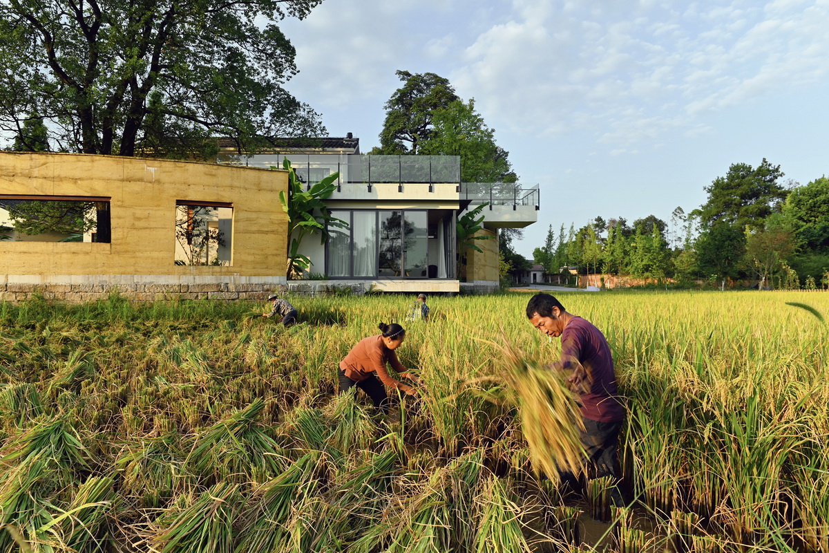 BIM建筑|稻田·树下·椒园 / 重庆悦集建筑设计事务所