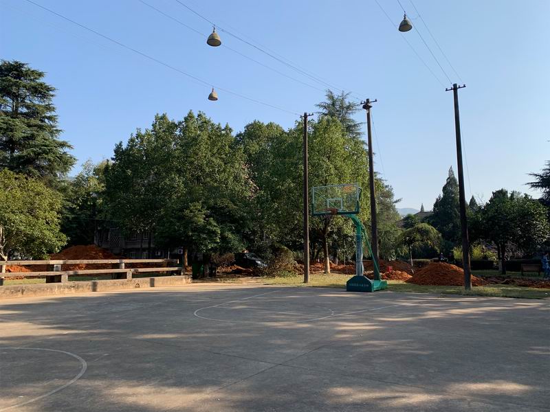 BIM建筑|留住乡愁、链接未来，龙游溪口乡村版未来社区 | 乡伴朱胜萱工作室