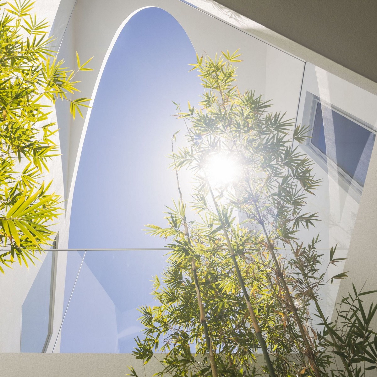 BIM建筑|葡萄牙 Dorfler 住宅，大胆而优雅的曲线 / Vitor Vilhena Arquitectura