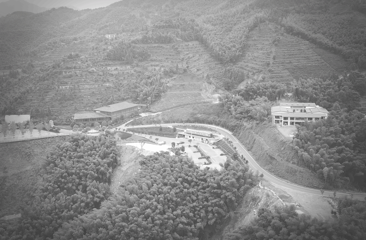 BIM建筑|“融于自然，地景之上”——江西虔心小镇展厅设计 / GWP Architects