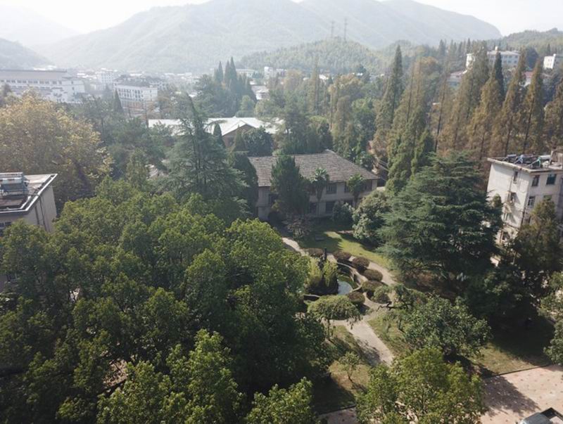 BIM建筑|留住乡愁、链接未来，龙游溪口乡村版未来社区 | 乡伴朱胜萱工作室