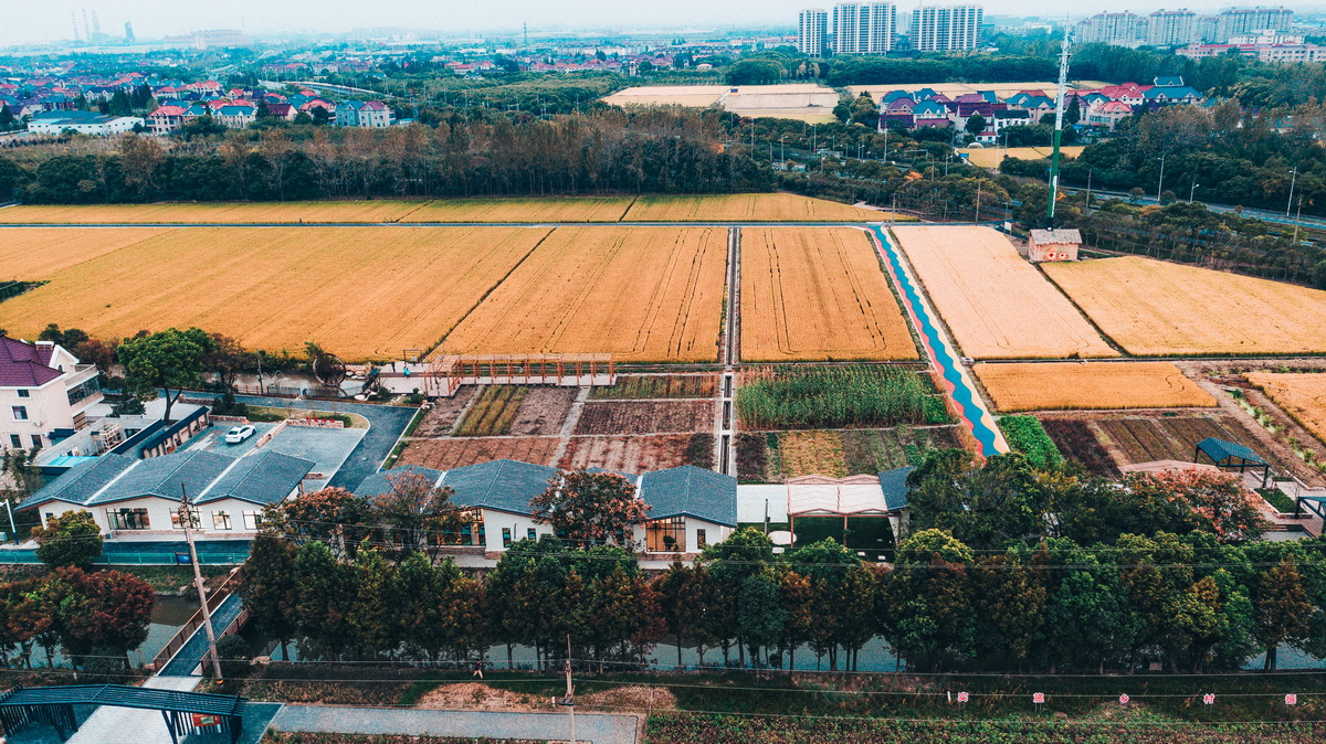 BIM建筑|粮田里的农具仓库改造——花红耕织馆 / 创霖-泽柏