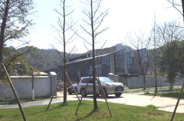 BIM建筑|钱湖02-3C地块项目 / 洪伟工作室-BIM建筑网