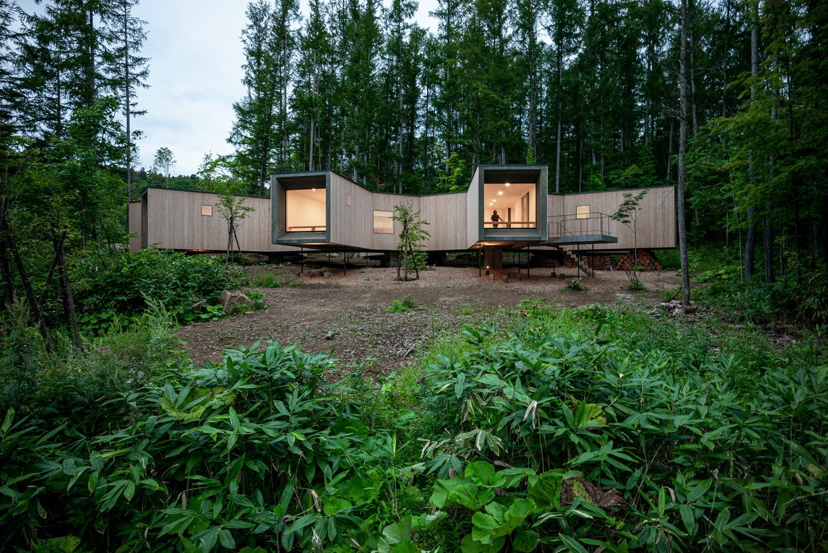 BIM建筑|北海道森林小屋，延伸的“触角” / Florian Busch Architects